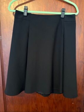 The Limited Black Skater Circle Skirt